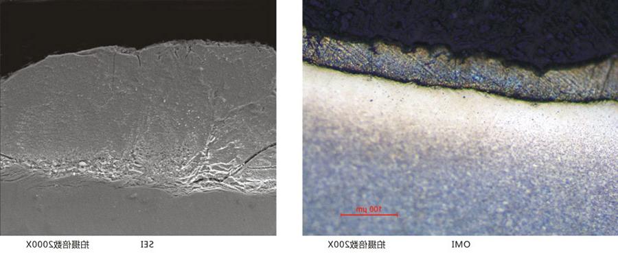 锌镍渗层金相